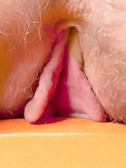 Rylsky Art - Rayvisie - Bayle