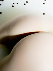 The Life Erotic - To Purity - Tanusha A