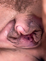 Twistys - Take Me Home Ashlee - Ashlee Graham