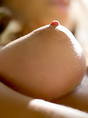 Digital Desire - Beauty Ass - Alexis Adams